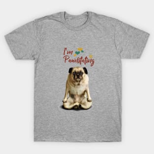 I'm Pawditating T-Shirt